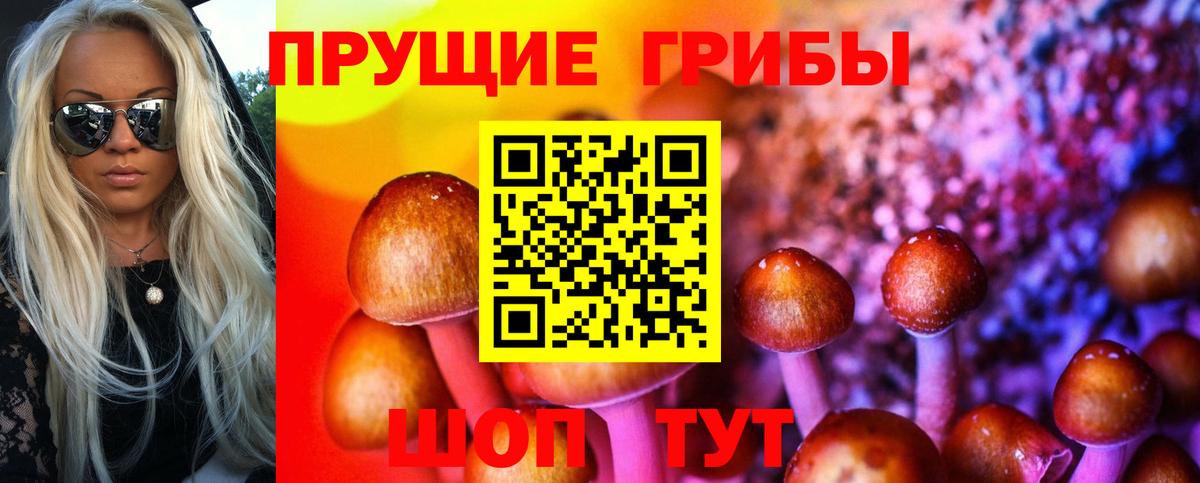 Галлюциногенные грибы Cubensis  закладки  Нягань  Вход с VPN  Псилоцибиновые грибы Psilocybine cubensis 